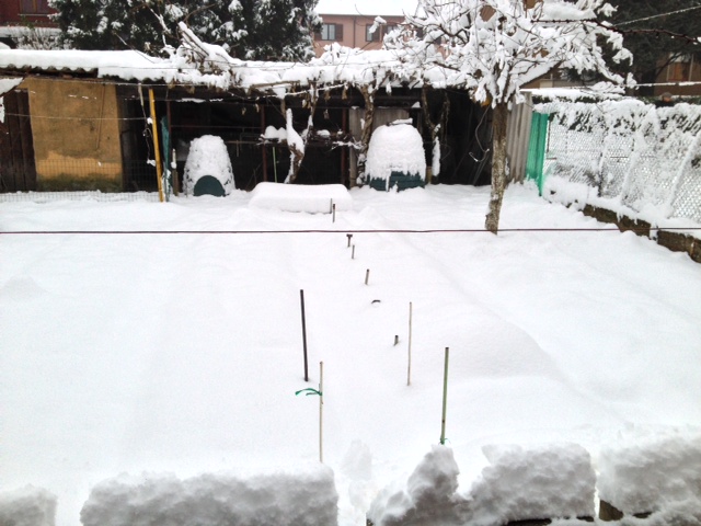 Gestione di un orto. L'orto sotto la neve