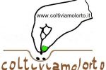 cropped-coltivimolorto-simbolo-1.jpg